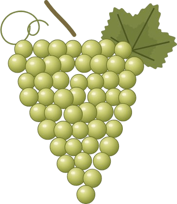 Illustration of a bunch of green grapes with a vine leaf